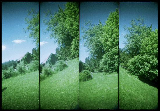 grüne wiese und bäume fotografiert mit einer super sampler